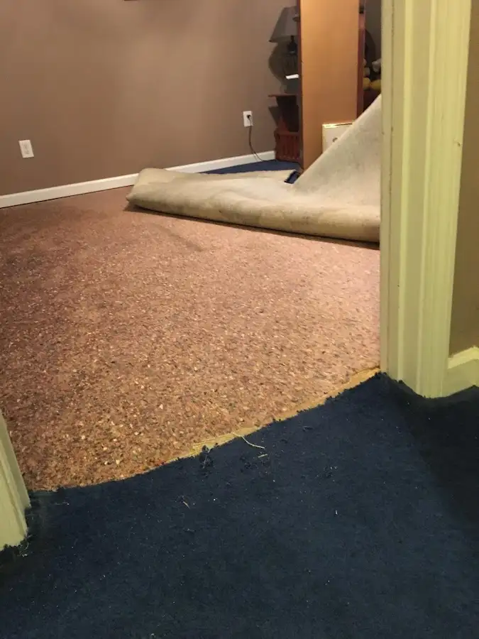 Carpet pad removal revealing water damage during Drying & Dehumidification in Tabernacle
